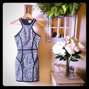 Parker Sleeveless Mini Dress